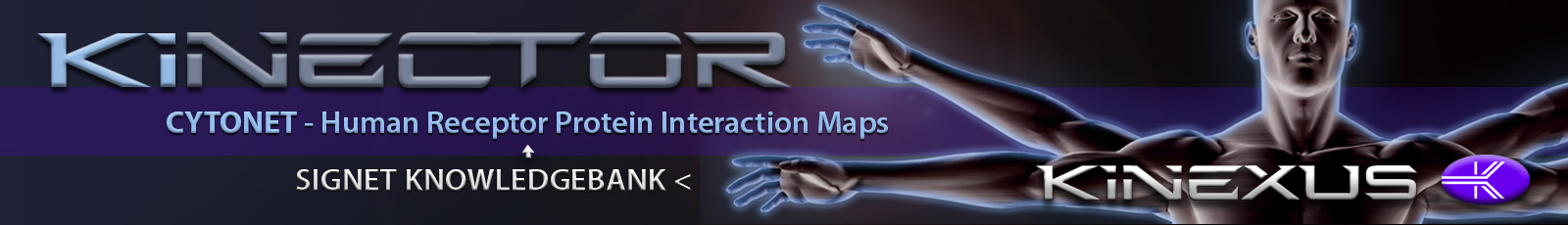 Kinector's Banner